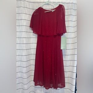 Taylor Sparkly red dress brand new